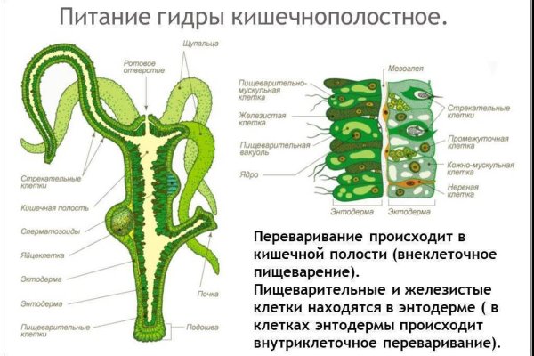 Почему сегодня не работает площадка кракен