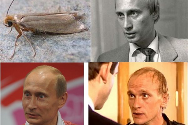 Кракен онион зеркала зеркало
