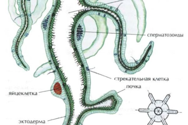 Регистрация на kraken com