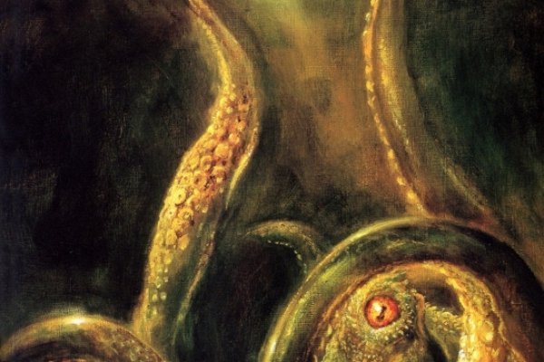 Kit kraken официальный сайт