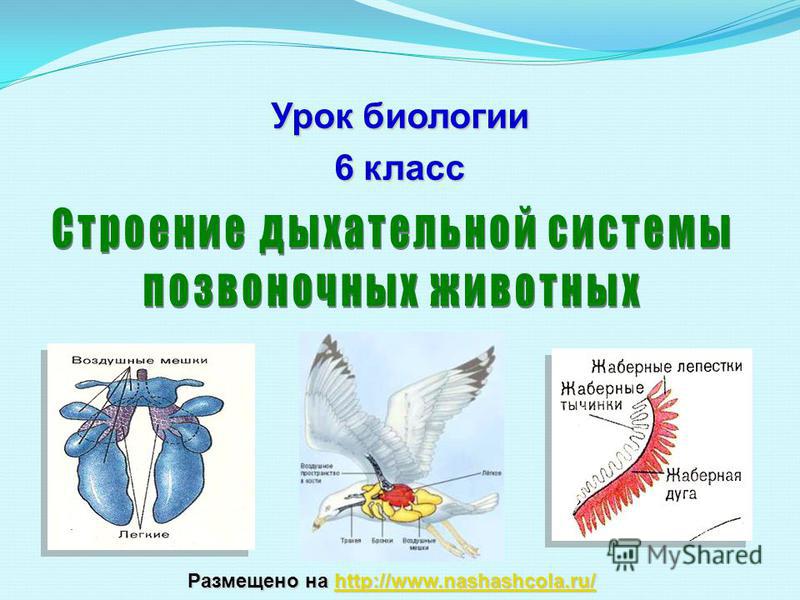 Взломали кракен аунтификатор